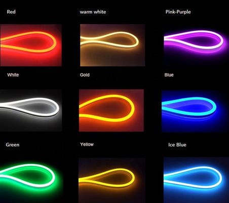 SMD2835 LED Neon Strip Light Flexible PVC RGB Waterproof With 12V 110V 220V