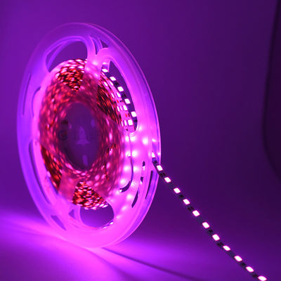 High Bright Dc12v 5v Thin Led Tape Cintas 4mm 5mm Flexible Warm White Red Blue Green 120led Luces Led 2835  Led Strip Light