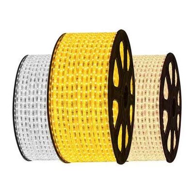 Single Color LED Flexible Strip Light 220V 110V IP65 Wanterproof