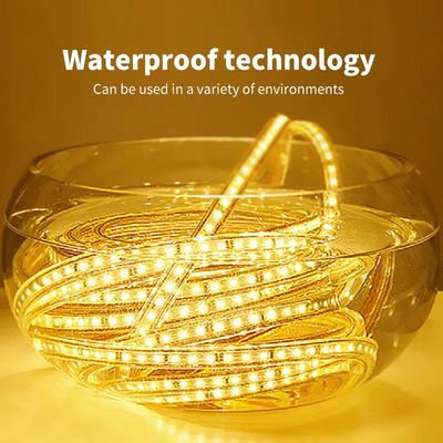 Ac110v Single Color Led Strip 220v Monochrome Light Strip Highlight Double Row Lamp Beads