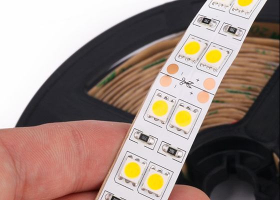 12V DC IP67 Single Color Led Strip 5050 Double Row 120LED